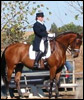 ChristineRivlin-Henke - USDF Bronze, Silver and Gold Medal Dressage Rider